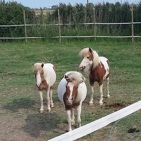 Country house Quadrifoglio Relax *