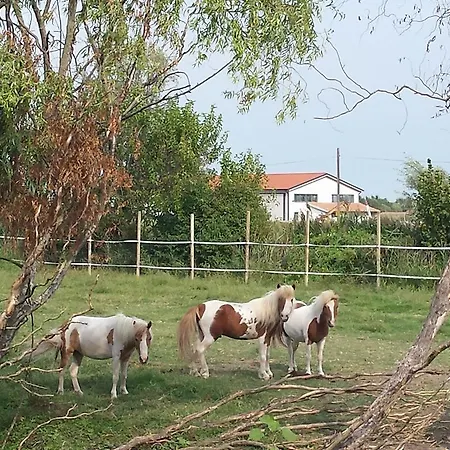 Quadrifoglio Relax Venkovský dům San Donà di Piave